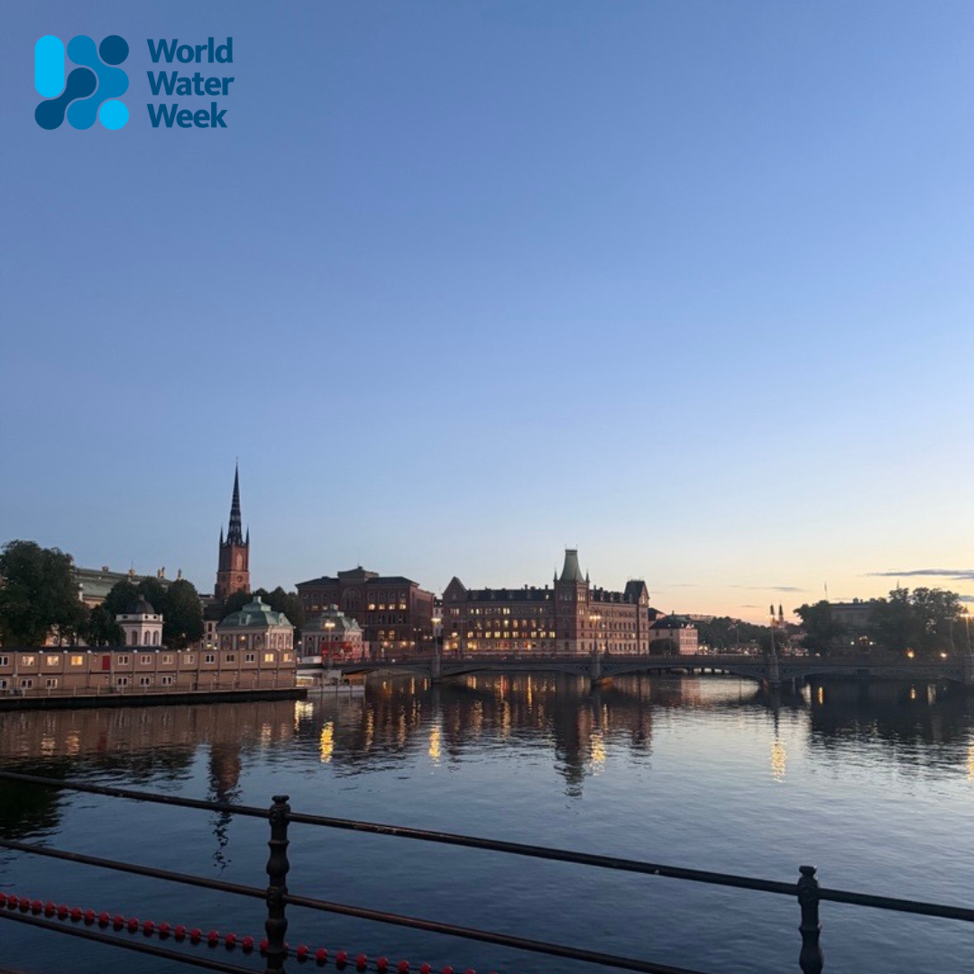 Picture James took of Stockholm while at WWW