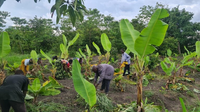 From Water to Opportunity: Tackling Poverty in Rural Malawi
